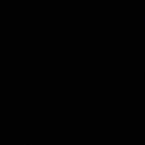 Meet your Posher, Nora